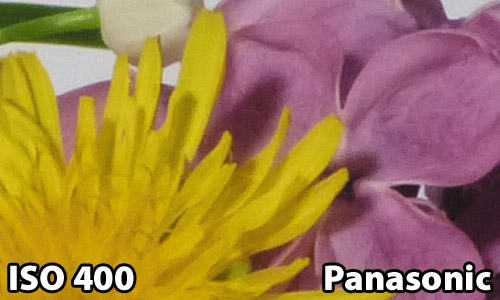 ISO 400 - Panasonic FZ150