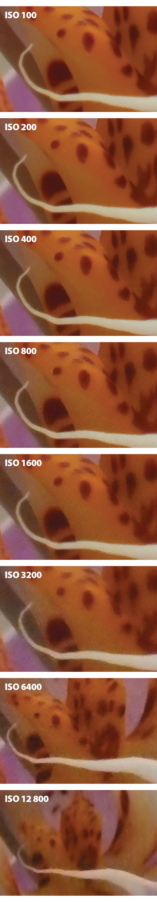 Przy fotografowaniu w dobrych warunkach owietleniowych poziom szumów jest akceptowalny nawet przy ISO 3200. Powyej tych wartoci zanik szczegóów jest ju do wyrany, a pliki rejestrowane s w mniejszych rozdzielczociach.