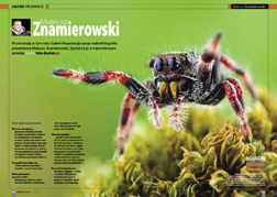 Mateusz Znamierowski