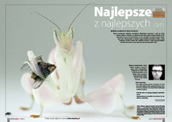 Najlepsze z najlepszych