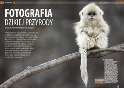 Fotografia Dzikiej Przyrody - Wildlife Photographer of the Year 2011