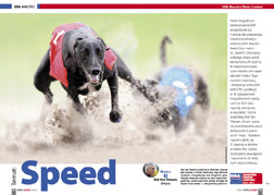EISA Maestro "Speed"
