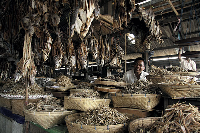 Suszone ryby sprzedawane na targu w Sittwe. Canon EOS 50D + Canon EF 17-85 mm; par. eksp.: 1/40 s; ISO 1600; f/4; f=17 mm