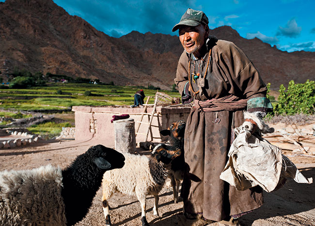 Mieszkaniec jednej z himalajskich wiosek, okolice Leh, Ladakh. Nikon D3 + Nikkor AF-S 24–70 mm f/2,8 G ED. Par. eksp.: 1/1600 s; ISO 200; f/4; f=24 mm