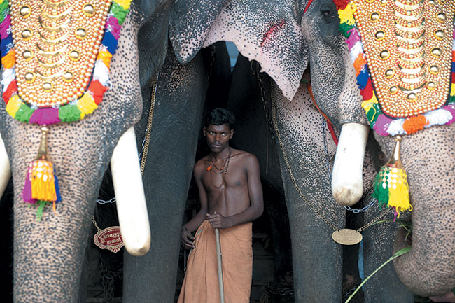 Poganiacz soni w czasie wita Thirunakkara Utsavam w Kottayam w Kerali. Nikon D3 + Nikkor AF-S 24–70 mm f/2,8 G ED. Par. eksp.: 1/125 s; ISO 200; f/3,2; f=62 mm