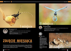 Zdjcie miesica