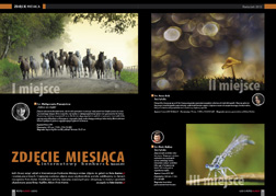 Zdjcie miesica