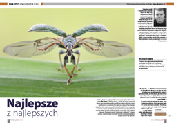 Najlepsze z najlepszych