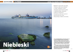 Niebieski