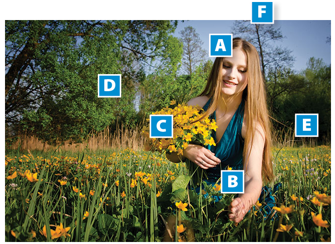 Przed nami szarugi jesienne i kade wspomnienie ciepej wiosny jest nam mie i z przyjemnoci ogldamy zdjcie pana Artura Gdka. Takie te mamy wyobraenie wiosny, a dziewczyna z narczem kaczeców staje si niemal jej symbolem. Natychmiast zauwaamy jasny owal twarzy [A] i idc za wzrokiem dziewczyny zatrzymujemy wzrok na chwile na lewej rce [b], by ponownie powdrowa oczami w gór obrazu i zatrzyma si na wiosennym bukiecie [c] . Zielona kpa drzewa [d] powtarza motyw kaczeców w innej wariacji kolorystycznej. Ukwiecona ka powtarza barwy motywów [C] [c]. Cay obraz nasycony jest wiosennym socem, którego blask nieco gasi czarna plama z prawej strony obrazu [e]. Niemile zgrzyta w obrazie trzecioplanowe drzewo [f], wyrastajce niemal z gowy dziewczyny.