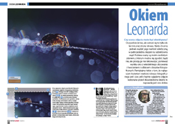 Okiem Leonarda