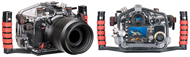Nikon D800 w obudowie podwodnej Ikelite.