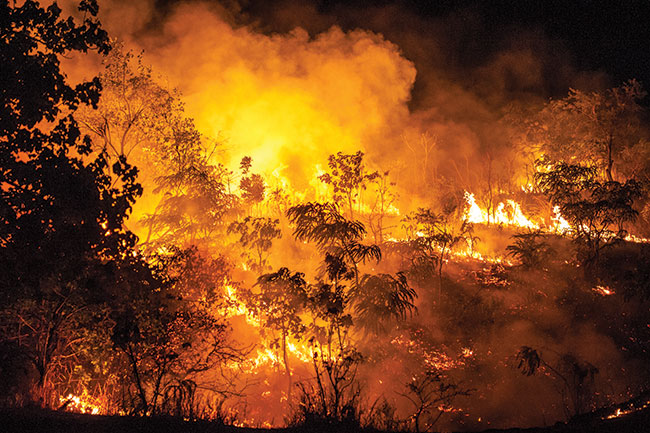 Pod koniec pory suchej busz zapala si� od&nbsp;uderze� piorun&oacute;w. Nocne po�ary to codzienno�� w&nbsp;Zimbabwe, co umo�liwia uchwycenie trudnego do&nbsp;zdokumentowania w&nbsp;innych okoliczno�ciach �ywio�u. Tzw. &bdquo;zimne po�ary&rdquo; ko�cz� si� bardzo szybko, wypalaj�c trawy i&nbsp;pozostawiaj�c bez uszczerbku drzewa i&nbsp;inne ro�liny. Pogorzelisko to fantastyczna sceneria do&nbsp;pracy (patrz poni�ej).