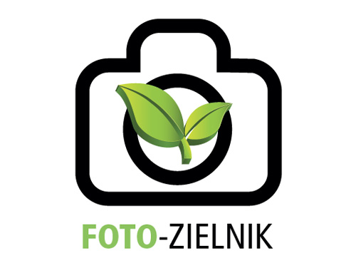 Foto-zielnik