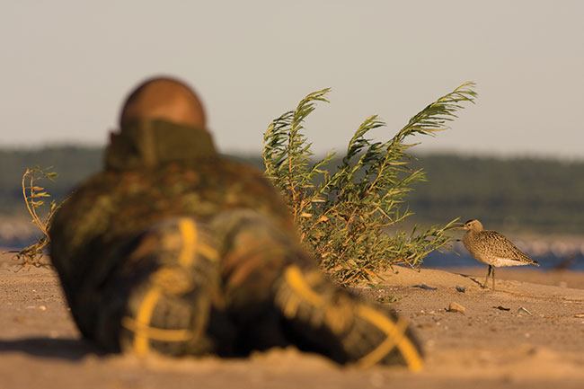 Fotografowanie na play. Podczas jesiennego przelotu mamy szans podczoga si do mniej pochliwych ptaków. Tutaj autor z kulikiem mniejszym.  Fot.: Dariusz Adamkiewicz. 