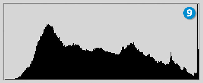 Histogram