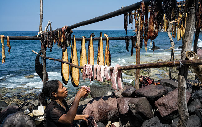 Mięso złowionych ryb dzielone jest sprawiedliwie między rybakami. Kobiety zajmują się jego suszeniem po to, aby rodzina mogła przetrwać w okresie, gdy ze względu na szalejące tu często huragany połowów nie można prowadzić.