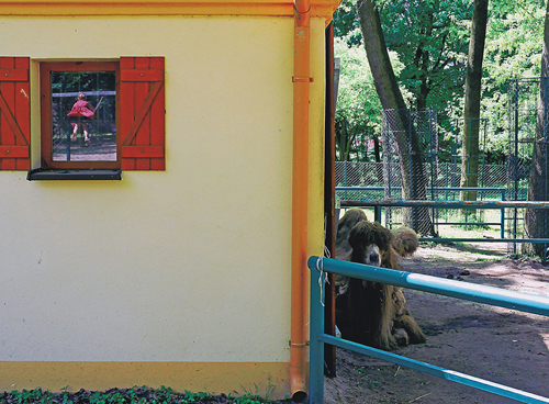 "Deja vu" Zbigniew Tomaszczuk