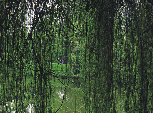 "Deja vu" Zbigniew Tomaszczuk