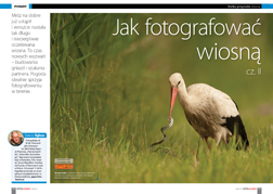 Jak fotografowa wiosn