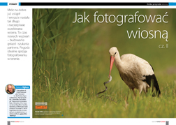 Jak fotografowa wiosn