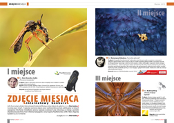 Zdjcie miesica