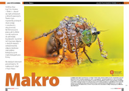 Liga Foto-Kuriera – Makro