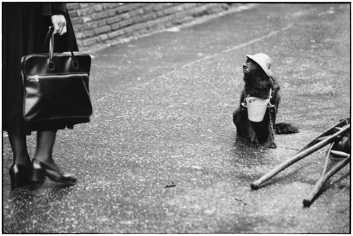 Elliott Erwitt