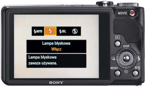 Utar�o si� przekonanie, �e&nbsp;fotoamatorom niepotrzebne s� zaawansowane funkcje kontroli ekspozycji. W&nbsp;prostych kompaktach nie znajdziemy r�cznych (M) i&nbsp;p&oacute;�automatycznych (A,&nbsp;S) tryb&oacute;w pracy. Program&oacute;w tematycznych z&nbsp;kolei zazwyczaj jest tyle, �e&nbsp;nie spos&oacute;b wszystkich spami�ta�. Zamys�em producenta jest oczywi�cie maksymalne u�atwienie �ycia wystraszonemu fotoamatorowi. Z&nbsp;pomoc� przychodz� mu tryby &bdquo;inteligentne&rdquo; i&nbsp;automatyczne, kt&oacute;re same ustawi� optymalne parametry. W�r&oacute;d tryb&oacute;w scen, kt&oacute;rych nierzadko mamy ju� grubo ponad 20, obok tych klasycznych, jak krajobraz, portret czy zdj�cia nocne, znajdziemy bardziej wyszukane, jak &bdquo;muzeum&rdquo;, &bdquo;zdj�cia podwodne&rdquo;, &bdquo;�wiat�o �wiecy&rdquo;, &bdquo;�ywno��&rdquo;, czy specjalny tryb u�atwiaj�cy fotografowanie dokument&oacute;w. W&nbsp;zaawansowanych kompaktach proporcje s� na&nbsp;og&oacute;� odwrotne. Amatorskie tryby okrojone s� do&nbsp;minimum, ale daj� za&nbsp;to mo�liwo�� pe�nej kontroli nad ekspozycj�. Aparaty kompaktowe cz�sto maj� te� szeroki wachlarz funkcji umo�liwiaj�cych edycj� zdj�� ju� z&nbsp;poziomu aparatu. I&nbsp;tak, zanim jeszcze skopiujemy zdj�cia do&nbsp;komputera, mo�emy je wyostrzy�, wykadrowa�, poprawi� balans bieli, skonwertowa� do&nbsp;czerni i&nbsp;bieli, sepii czy negatywu, po��czy� w&nbsp;panoram�, dowolnie na&nbsp;siebie nak�ada�, korygowa� kontrast, nasycenie, jasno��, wybiera� selektywnie kolor , korygowa� efekt czerwonych oczu, symulowa� efekty u�ycia filtr&oacute;w optycznych czy fotografii otworkowej, a&nbsp;nawet poprawia� niedoskona�o�ci sk&oacute;ry fotografowanej osoby (funkcje retuszu ma np. wi�kszo�� aparat&oacute;w &shy;Olympusa).  W kompaktach najcz�ciej mo�emy wybra� jedn� z&nbsp;czterech funkcji wyzwalania lampy b�yskowej: auto &ndash; lampa w��cza si� automatycznie, gdy mamy niewystarczaj�ce warunki o�wietleniowe), fill-in (lampa w��czona na&nbsp;sta�e, tak zwany b�ysk wymuszony, maj�cy na&nbsp;celu roz�wietlenie pierwszego planu zdj�ciowego; przyk�ad zastosowania tego trybu przedstawiaj� powy�sze zdj�cia), synchronizacja z&nbsp;d�ugimi czasami otwarcia migawki (aparat dobiera d�ugi czas na�wietlania w&nbsp;celu rejestracji t�a przy fotografowaniu w&nbsp;nocy, a&nbsp;nast�pnie wyzwala b�ysk do�wietlaj�cy przedni plan), lampa wy��czona.  Filtr &bdquo;selektywny kolor&rdquo; umo�liwia wyselekcjonowanie jednej barwy. W tym przypadku by�y to odcienie zieleni. Zdj�cie wykonane w&nbsp;g&oacute;rach w&nbsp;okolicach Marakeszu.  Producenci stosuj� r&oacute;�ne oznaczenia dla tryb&oacute;w pracy aparatu. Po&nbsp;lewej stronie widzimy oznaczenia typowe dla Canona i&nbsp;Pentaksa. Pozostali &shy;producenci stosuj� systematyk� jak po&nbsp;prawej. M oznacza tryb r�czny, Tv i&nbsp;S &ndash; preselekcj� czasu, A i&nbsp;Av &ndash; preselekcj� przys�ony, a&nbsp;symbol&nbsp;P automatyk� programow�. W&nbsp;Pentaksie mamy jeszcze tryb TAv, czyli preselekcja czasu i&nbsp;przys�ony.