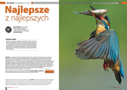 Najlepsze z najlepszych