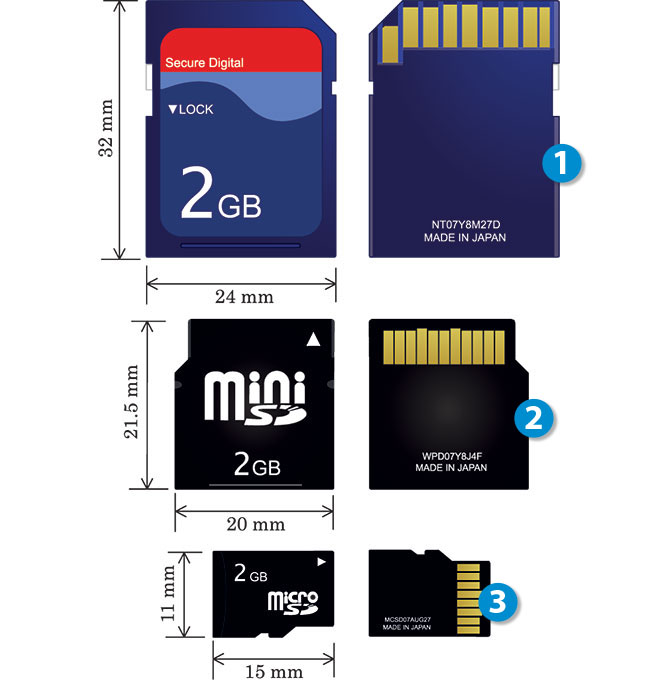 Karty pamici typu SD wystpuj w trzech wielkociach: penowymiarowej [1], miniSD [2] oraz microSD [3].Fot. Wikipedia