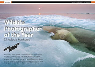 Wildlife Photographer  of the Year - 53. edycja konkursu 
