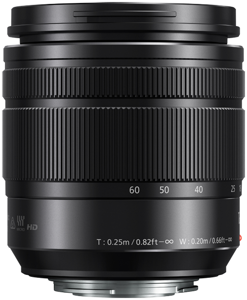 Panasonic 12–60 mm ze stabilizacj