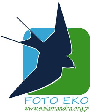 FOTO-EKO 2016