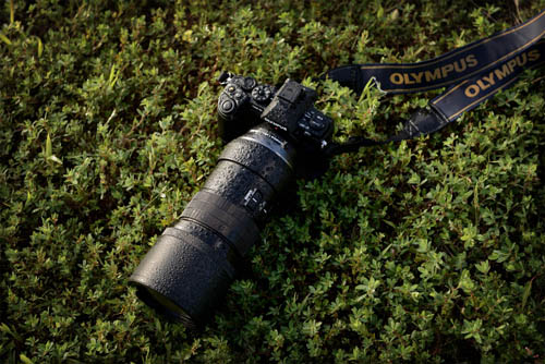 Trzysetka PRO Olympusa