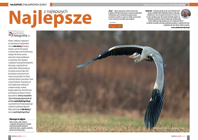 Najlepsze znajlepszych