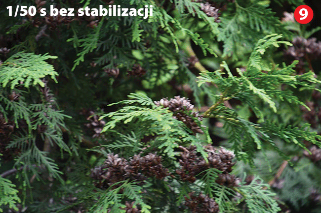 System stabilizacji w&nbsp;Tamronie 18&ndash;400&nbsp;mm dzia�a bardzo skutecznie. Przy ogniskowej 400&nbsp;mm jeste�my w&nbsp;stanie zarejestrowa� nieporuszone uj�cie nawet przy czasie 1/50&nbsp;s.fot. P. Borys