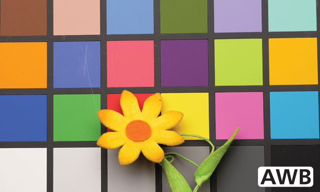 W GH5, oprócz dedykowanych trybów BB możemy również ustawiać temp. barwową w Kelvinach. W GH5, oprócz dedykowanych trybów BB możemy również ustawiać temp. barwową w Kelvinach.