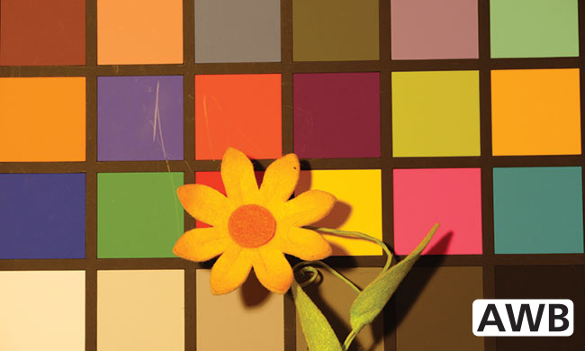 W GH5, oprócz dedykowanych trybów BB możemy również ustawiać temp. barwową w Kelvinach. W GH5, oprócz dedykowanych trybów BB możemy również ustawiać temp. barwową w Kelvinach.