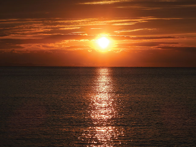 1/2000 s; f/5; ISO 100; f=115 mm