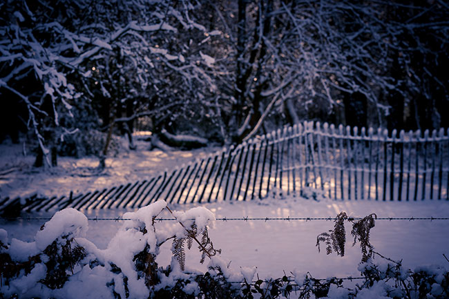 © Andrew Whyte, Wielka Brytania, zdjcie wykonane obiektywem Sony SEL100F28GM