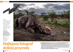 Najlepszy fotograf dzikiej przyrody