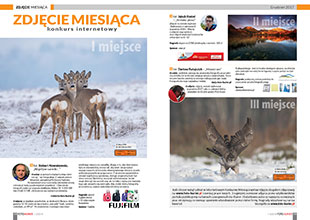 Zdjcie miesica - grudzie