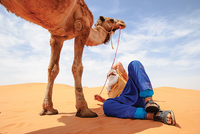 Maroko. Erg piaszczysty zachodniej Sahary.