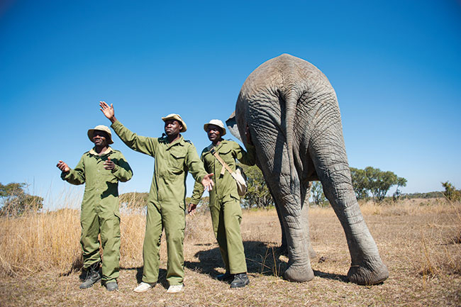 W fotografii podr&oacute;�niczej jeden obiekt to cz�sto bana�, wa�niejsze s� relacje mi�dzy obiektami w&nbsp;kadrze.