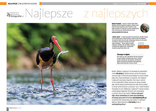 Najlepsze z najlepszych - sierpie