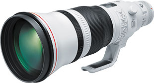 Canon EF 600 mm f/4