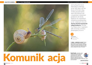 „Komunikacja”