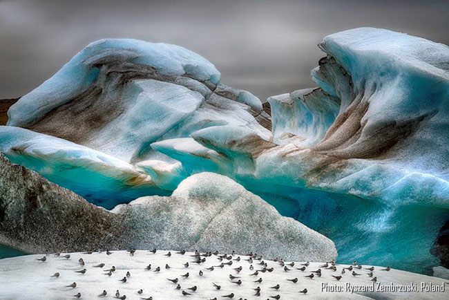 Laguna Jökulsárlón – dr Ryszard Zembrzuski - Warszawa