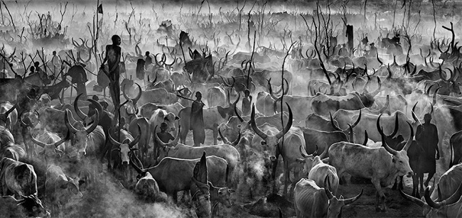 David Yarrow